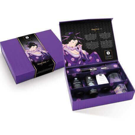 Подарунковий набір Shunga Naughtier Kit для інтимної стимуляції, 5 продуктів для посилення чутливості та задоволення SO-SX0587 фото